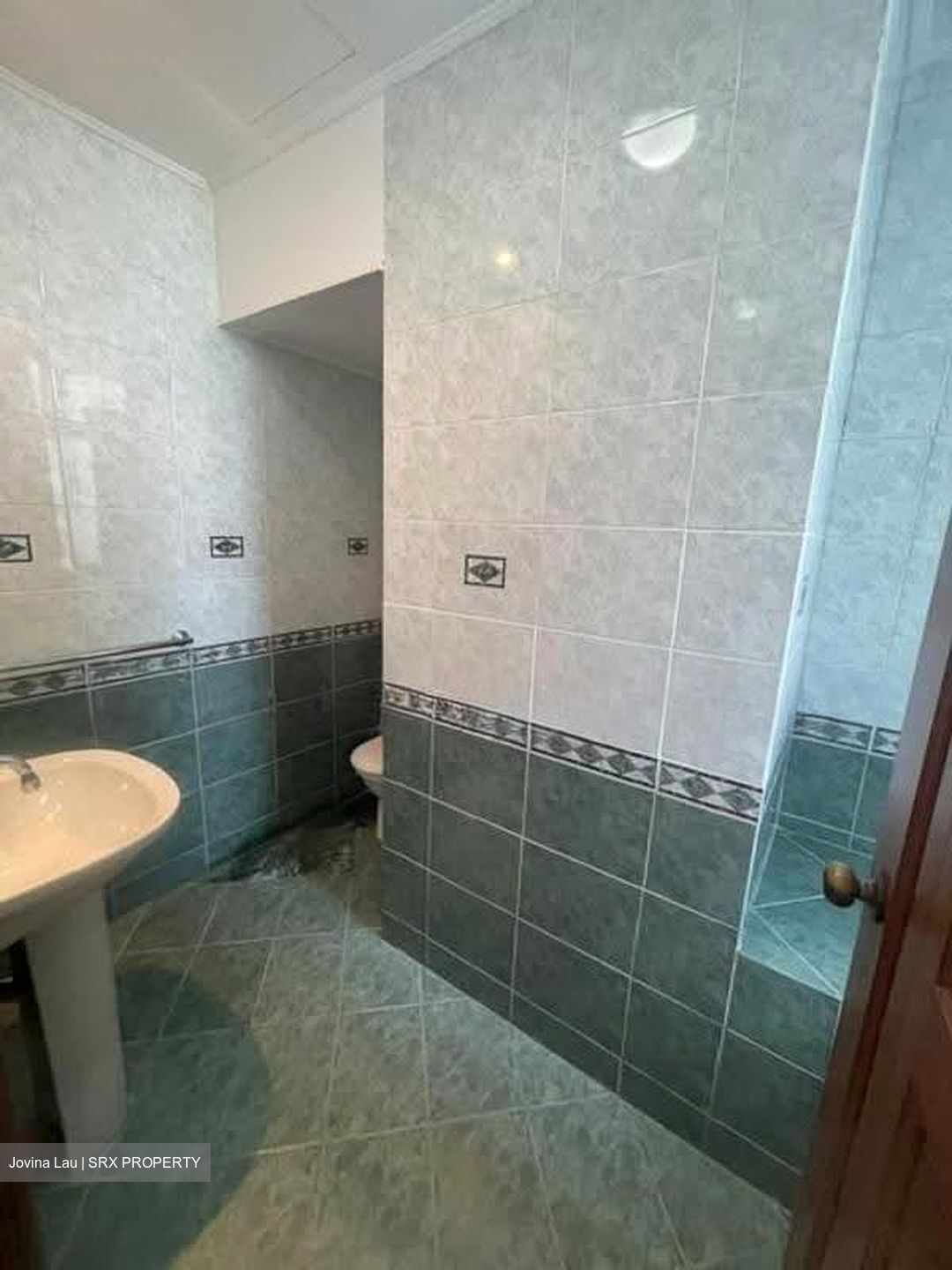 Spring Grove (D10), Condominium #618318561